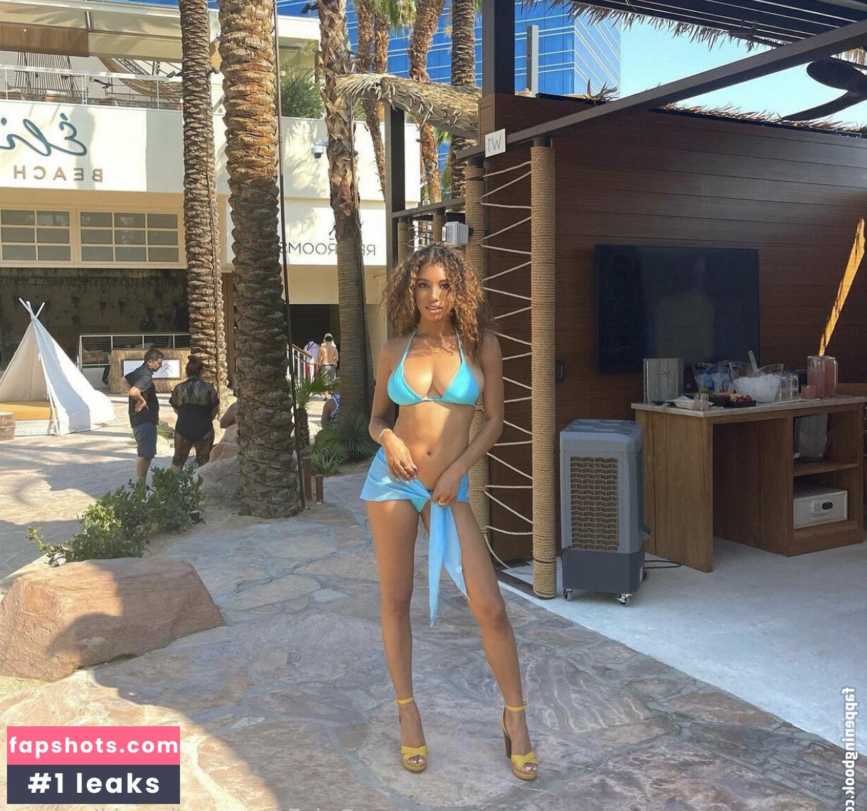 brookliynwren gallery photo #60