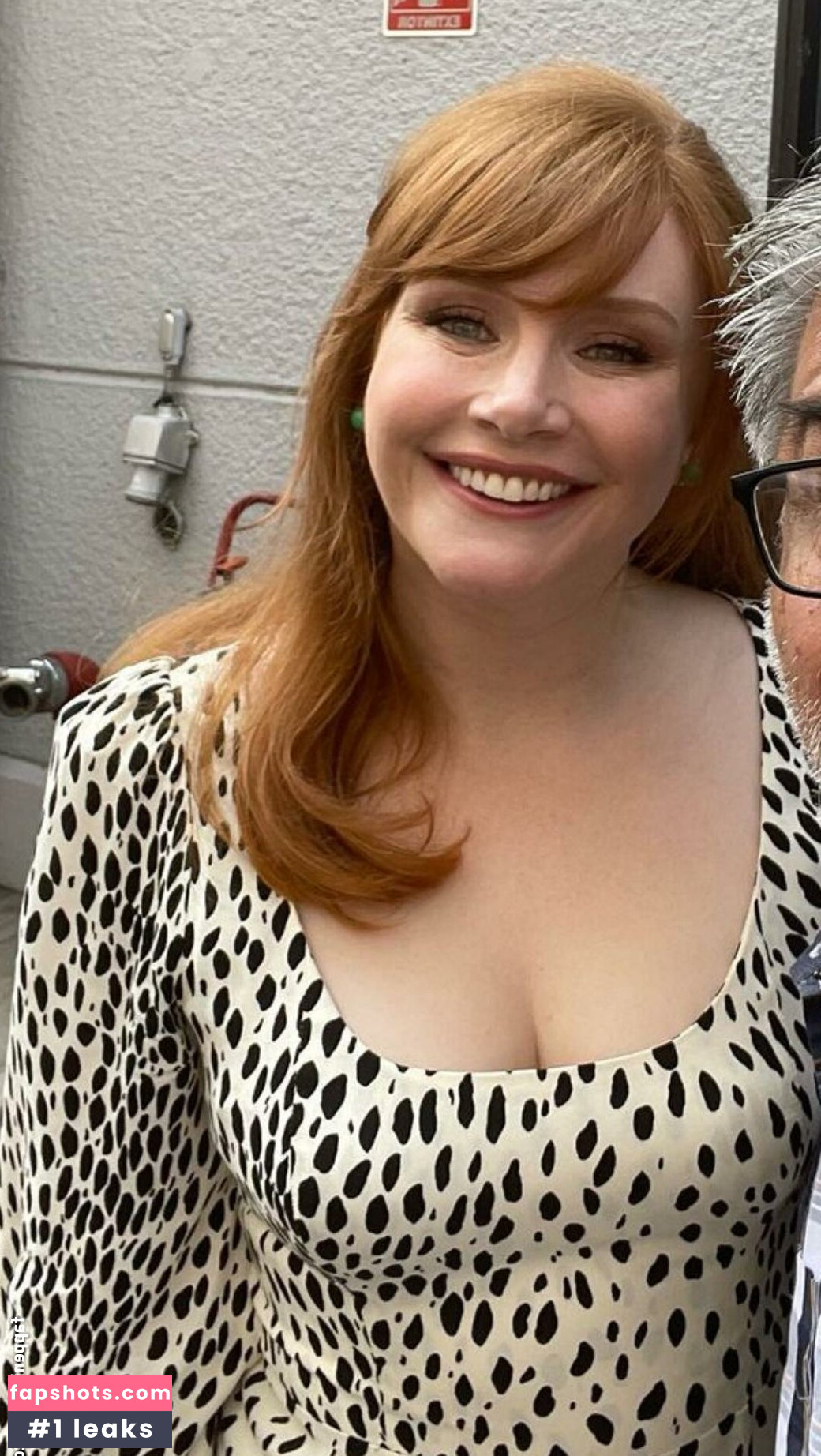 Bryce Dallas Howard Nahé úniky fotek pouze od fanoušků #141 - Fapshots