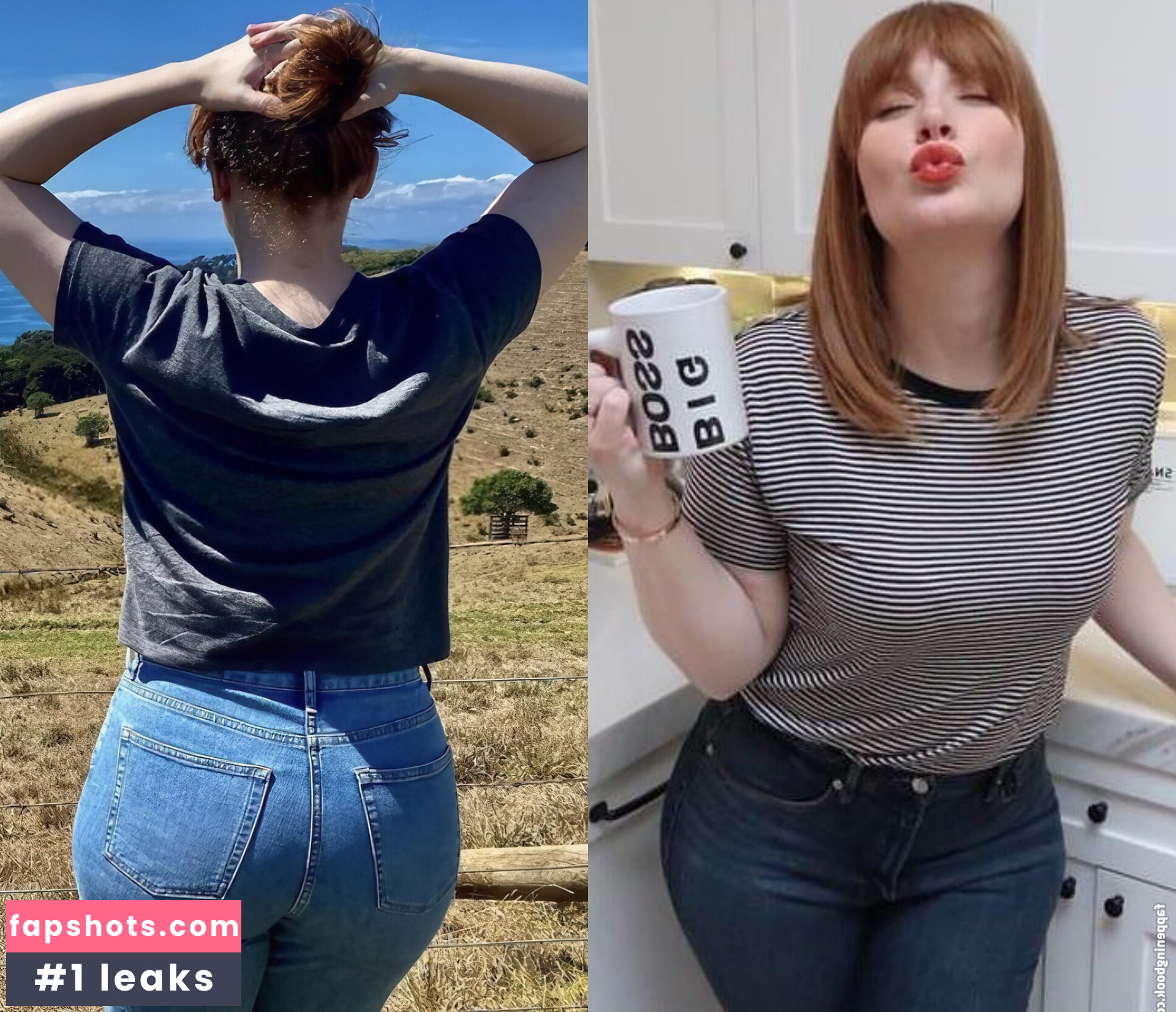 Bryce Dallas Howard Nahé úniky fotek pouze od fanoušků #158 - Fapshots