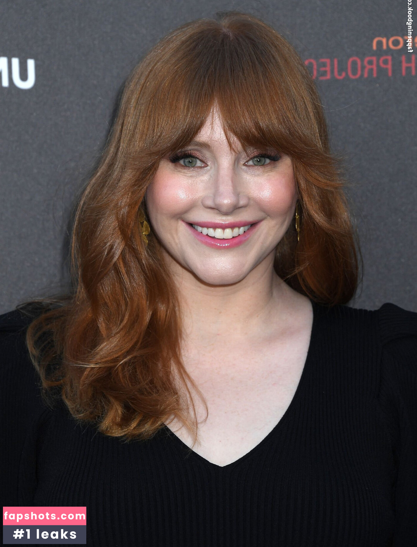 Bryce Dallas Howard Nahé úniky fotek pouze od fanoušků #176 - Fapshots