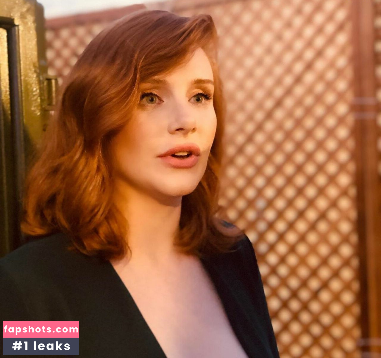 Bryce Dallas Howard Nahé úniky fotek pouze od fanoušků #244 - Fapshots