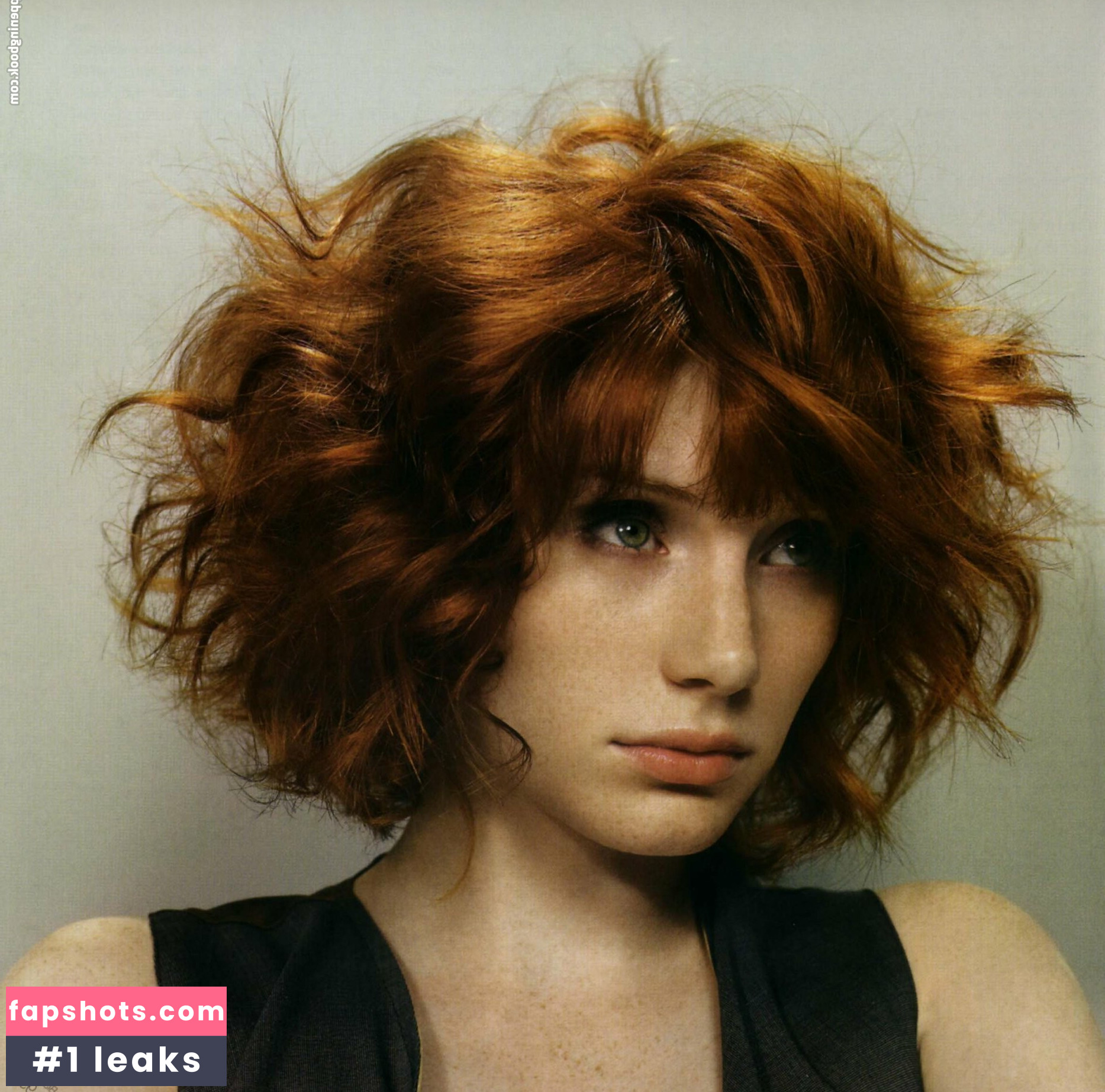 Bryce Dallas Howard Nahé úniky fotek pouze od fanoušků #284 - Fapshots