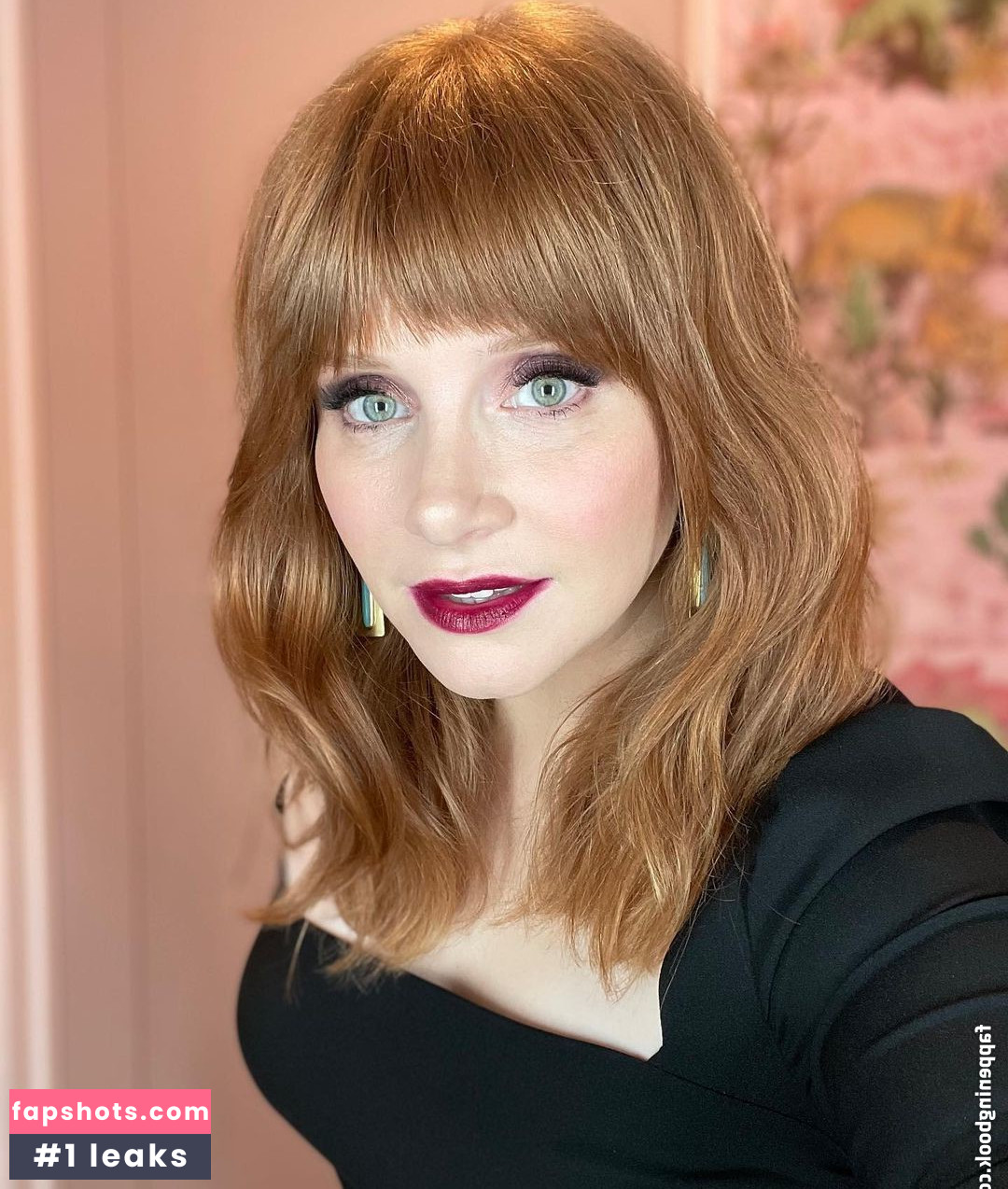 Bryce Dallas Howard Filtración Desnuda OnlyFans Foto #310 - Fapshots