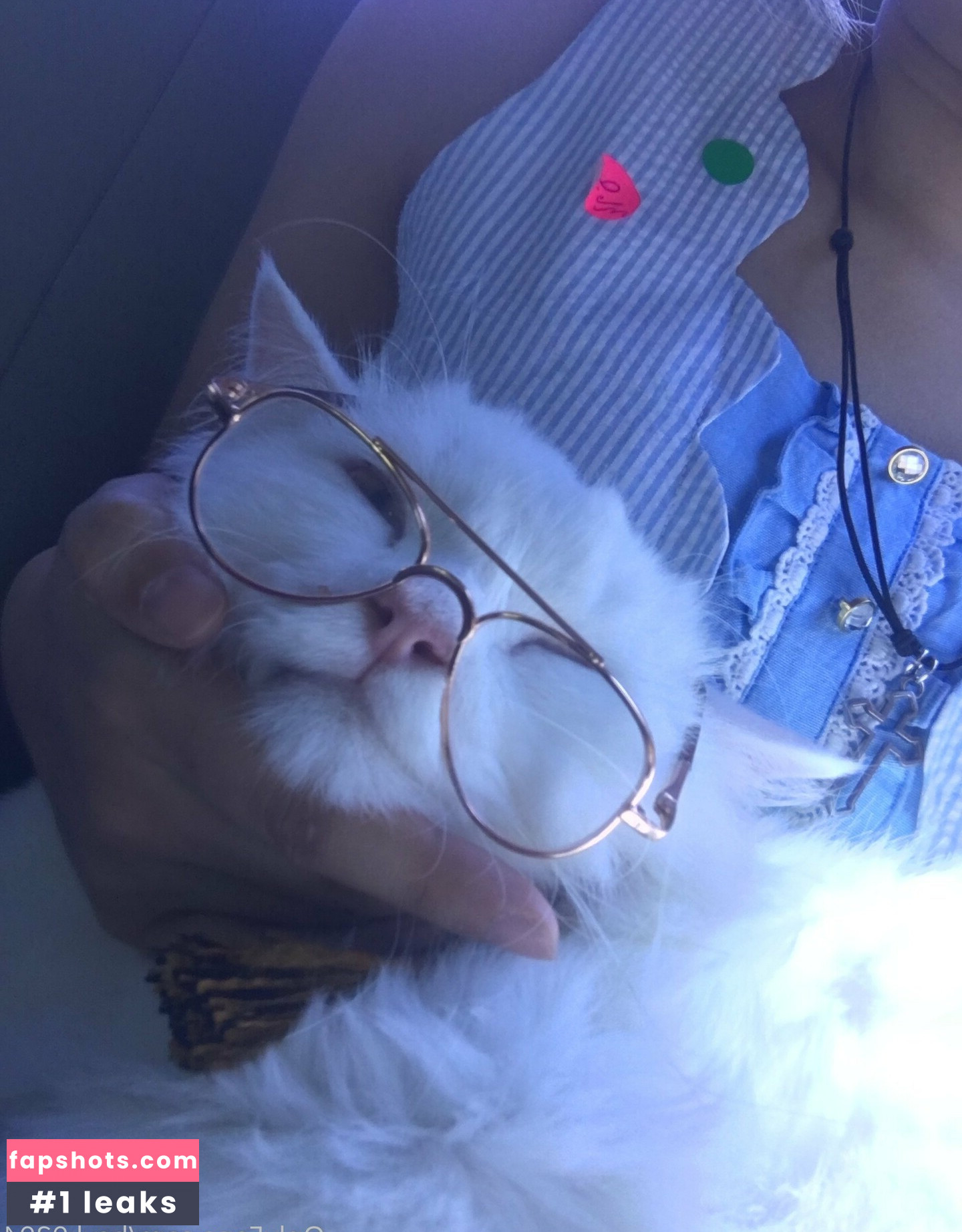 bsyk9294 gallery photo #58