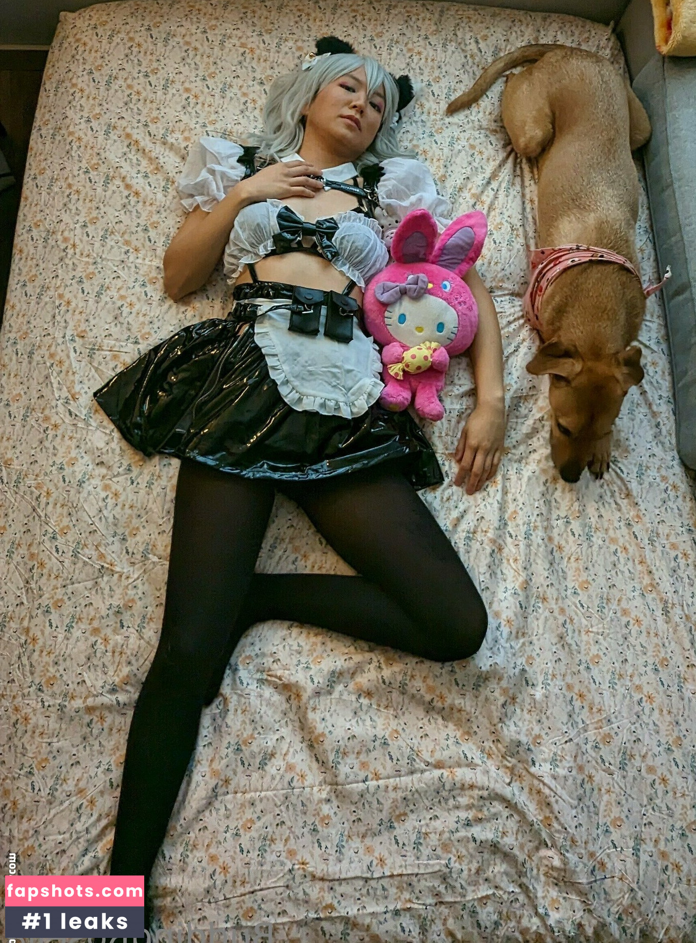 Buddingroselia gallery photo #3