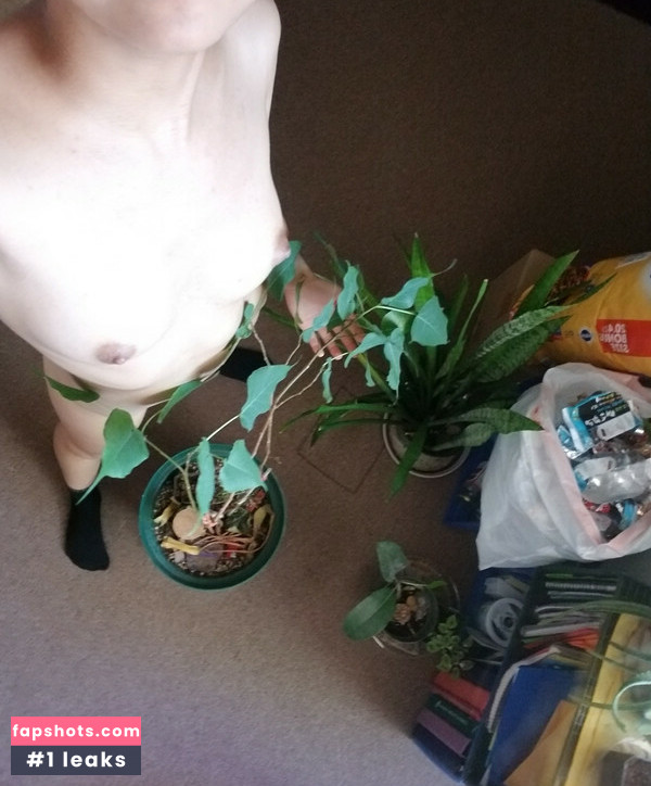 Buddingroselia gallery photo #27