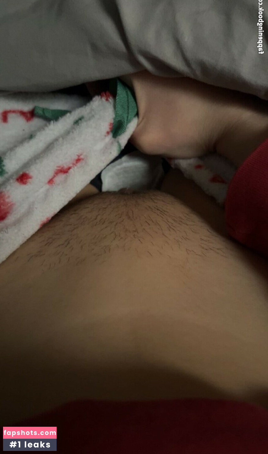 Buddy Bear gallery photo #14