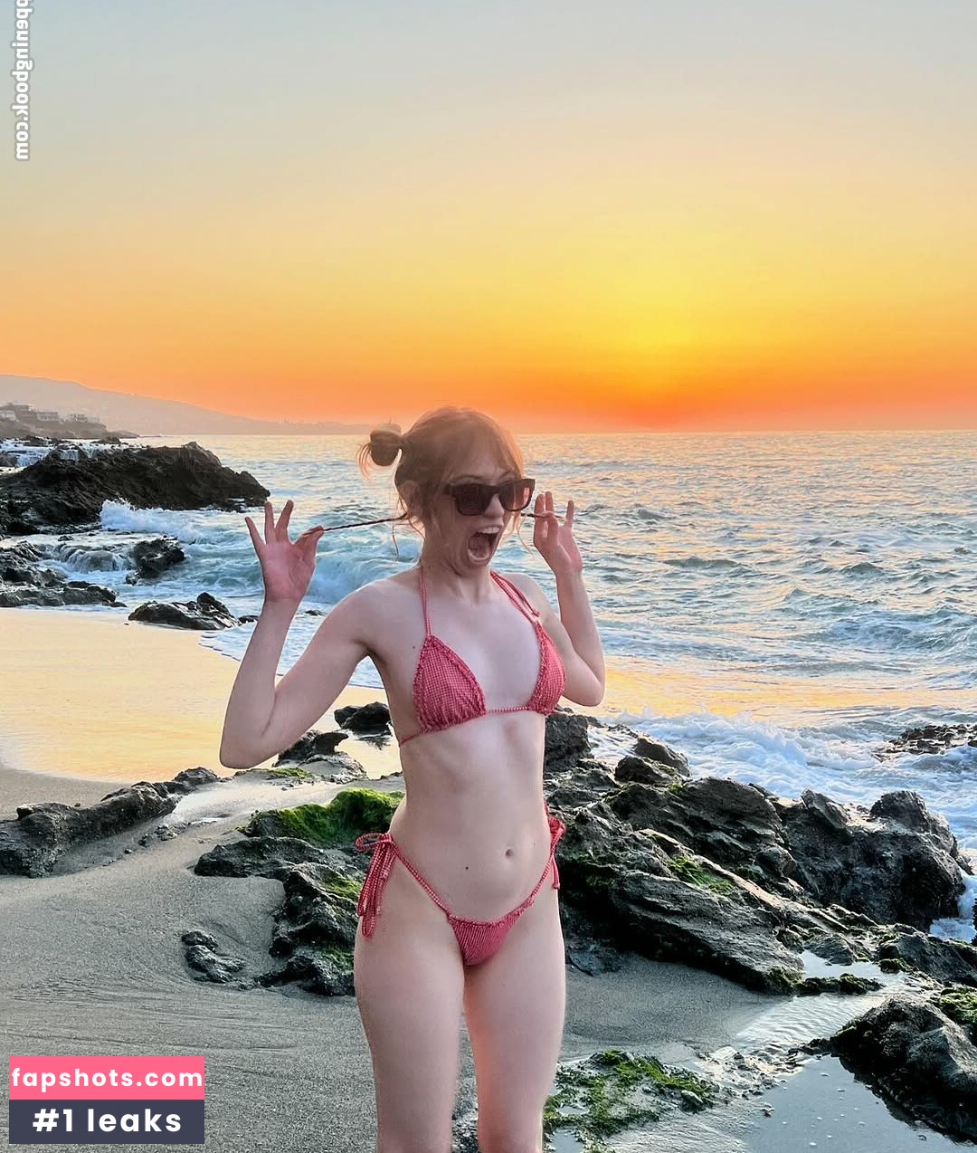 bug.universe gallery photo #7