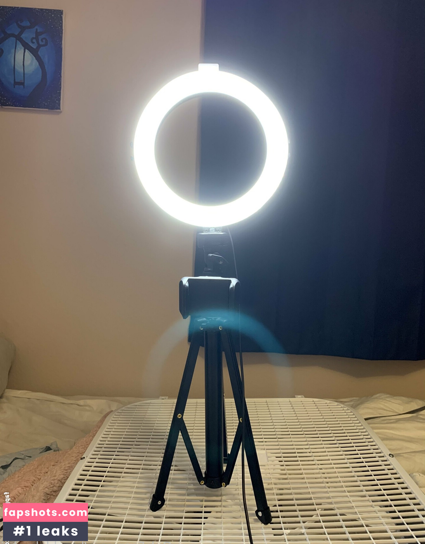 bumblebeebri Nude Leaks OnlyFans Photos #47 - LeakJerk