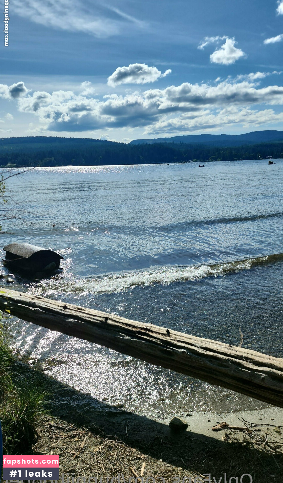 bunniibopper gallery photo #8