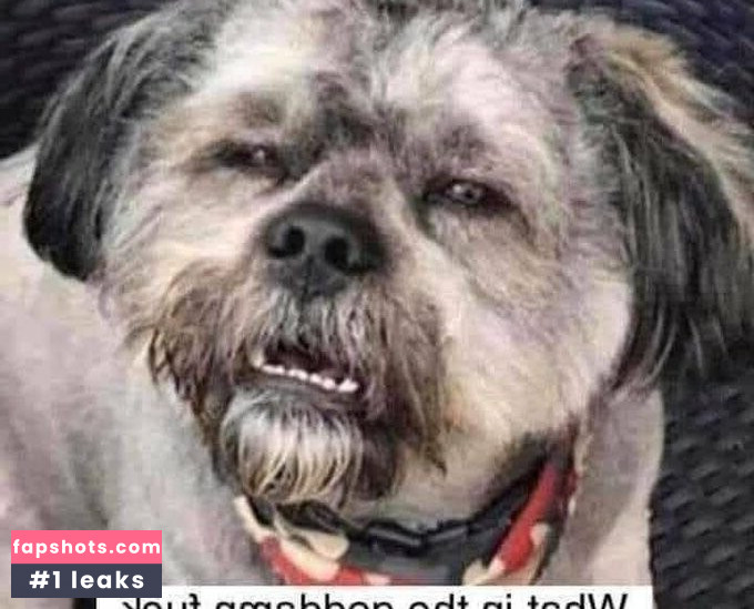 Bunny Ayumi gallery photo #93