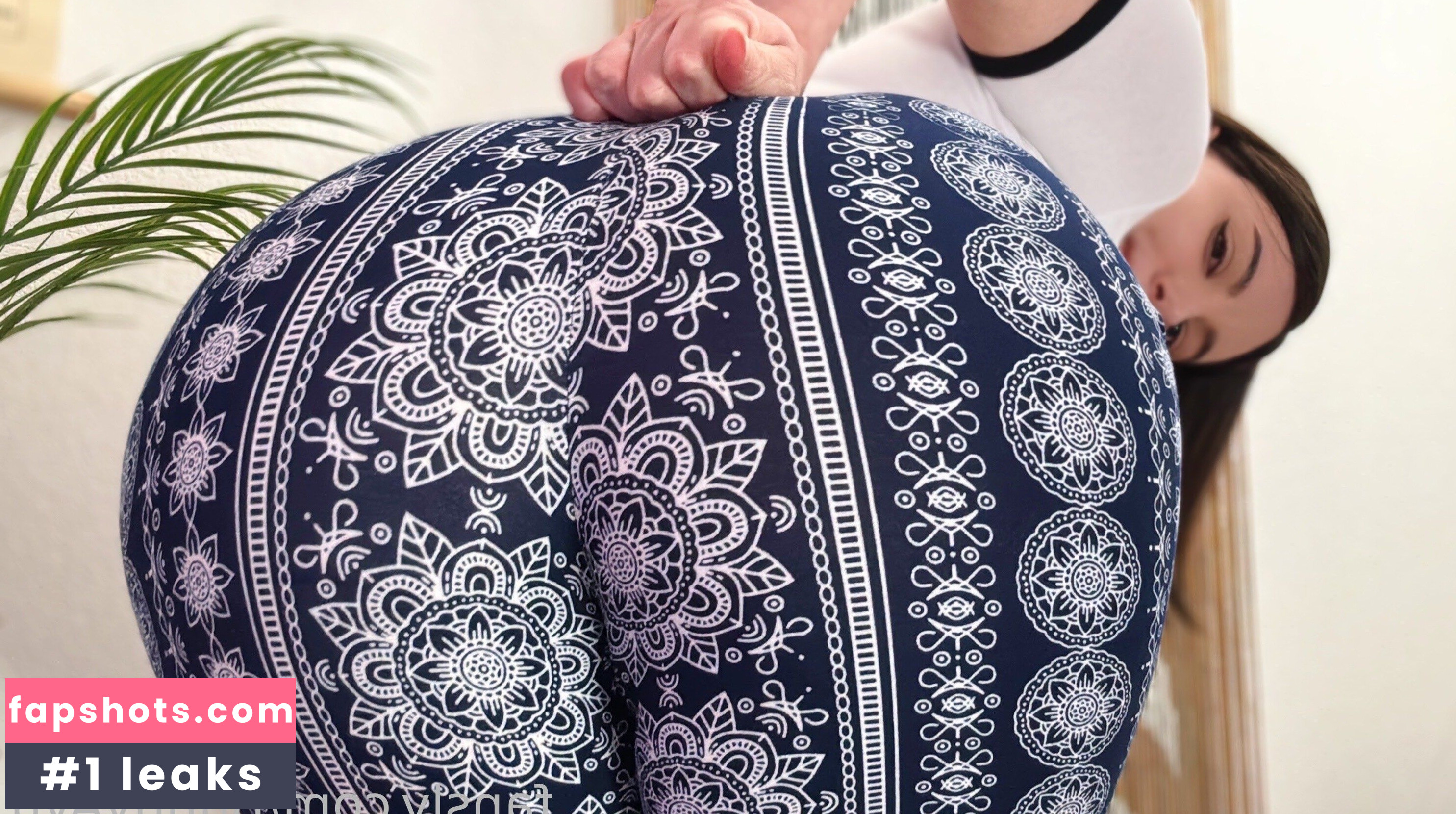 Bunny Ayumi gallery photo #232