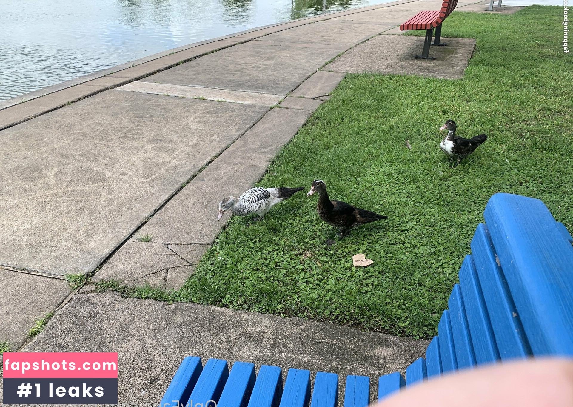 bunnycocoa gallery photo #13