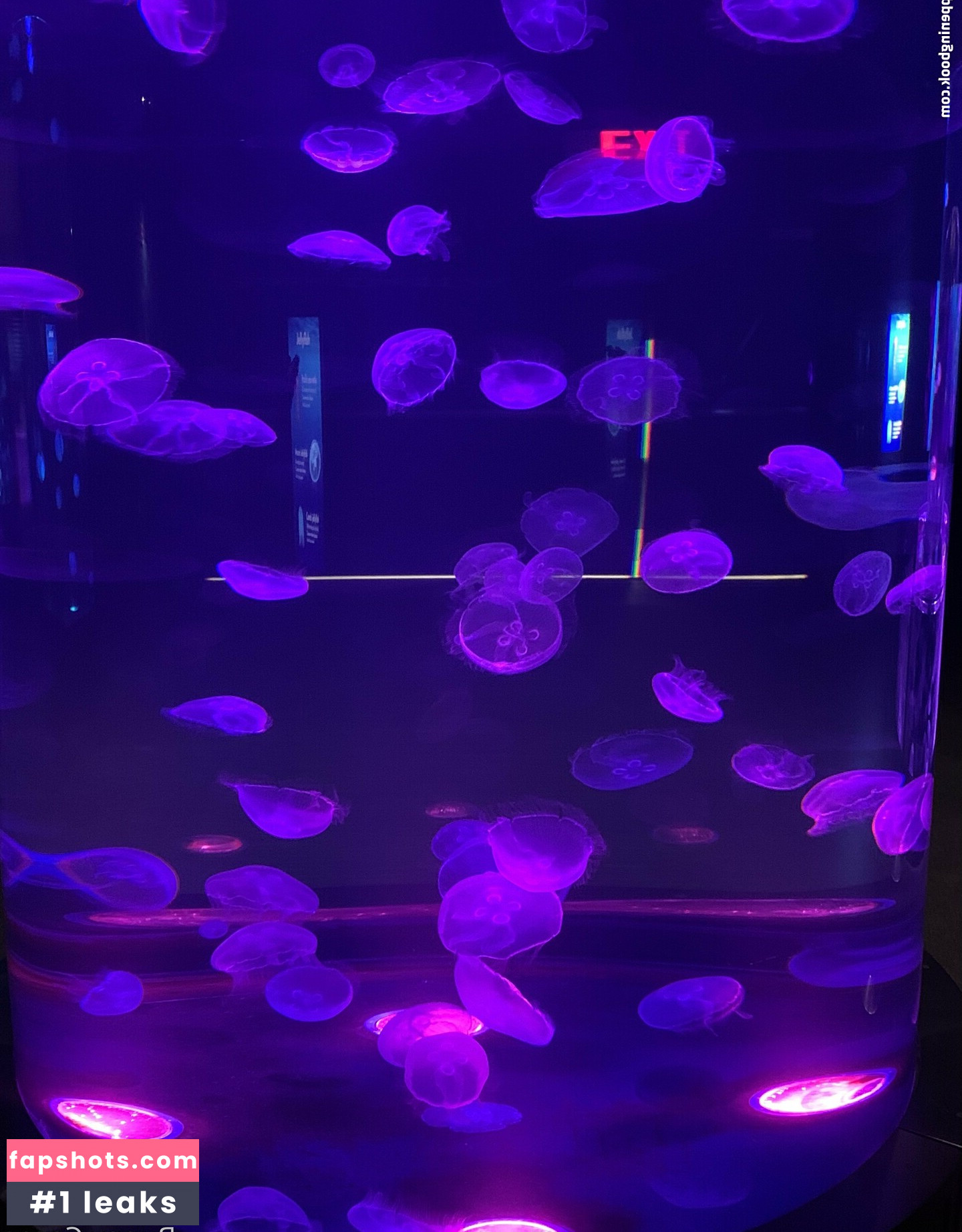 bunnycocoa gallery photo #22