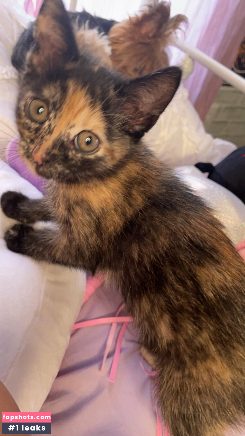 bunnyscake Nahé úniky fotek pouze od fanoušků #22 - Fapshots