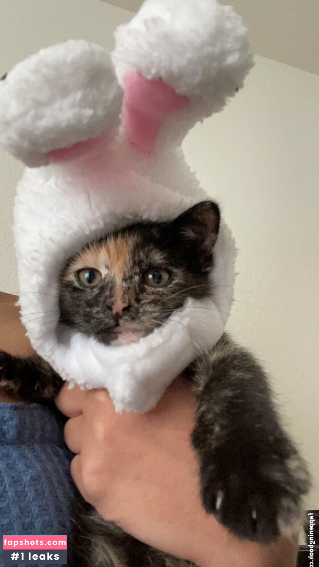 bunnyscake Nahé úniky fotek pouze od fanoušků #34 - Fapshots