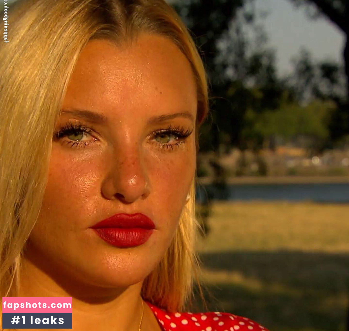 burdecki gallery photo #12