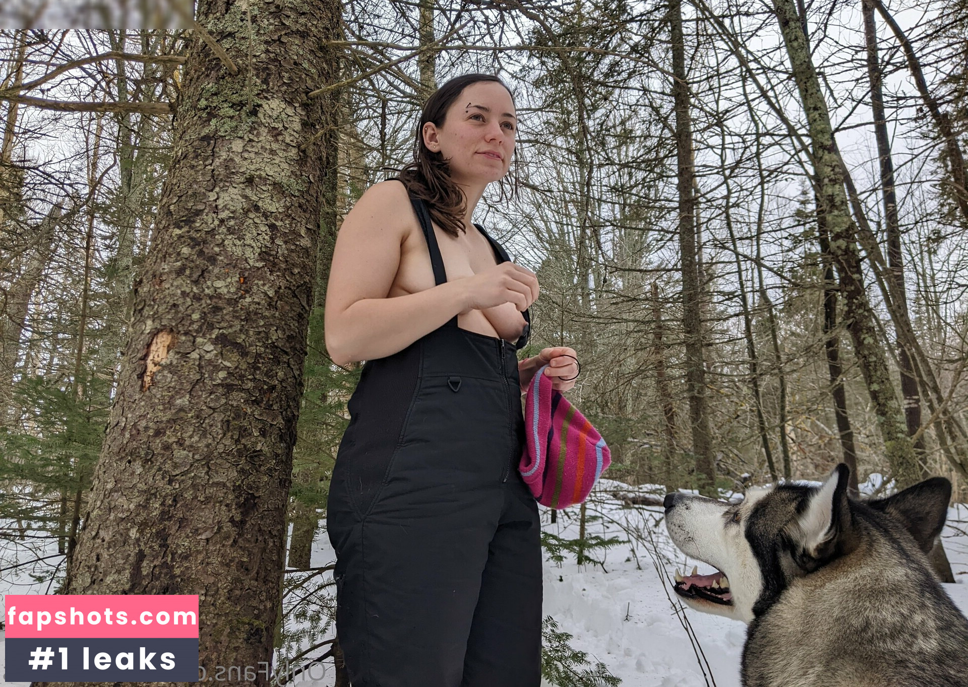 busbuddies gallery photo #20