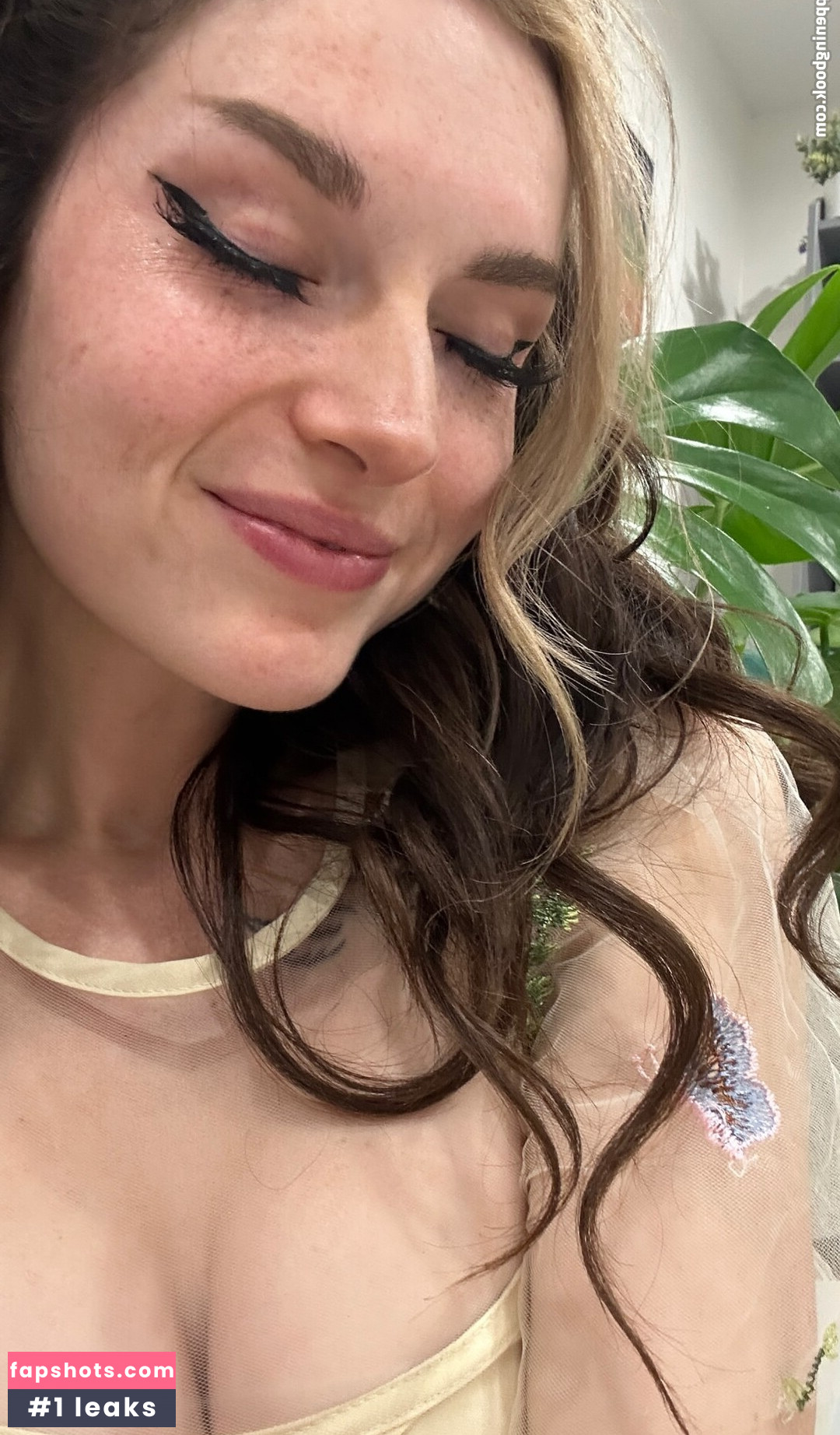 Busy B ASMR gallery photo #186