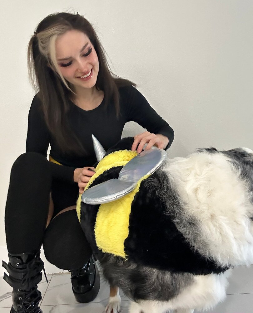 busy-b-asmr gallery photo #590