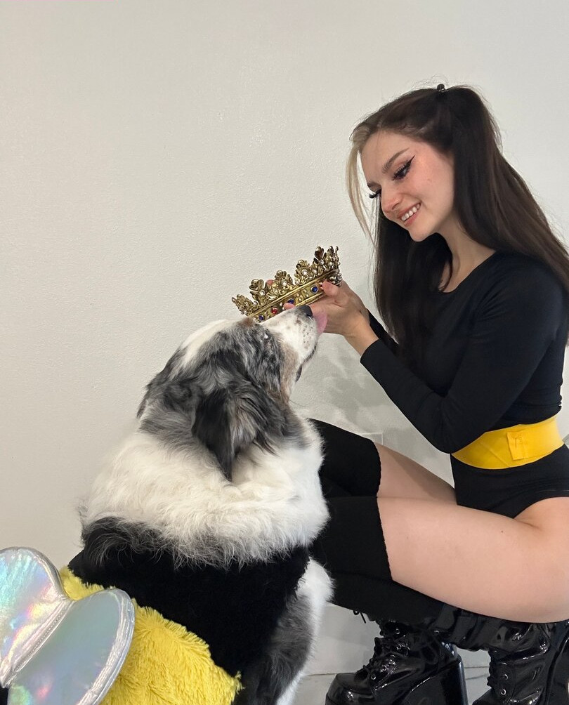 busy-b-asmr gallery photo #591