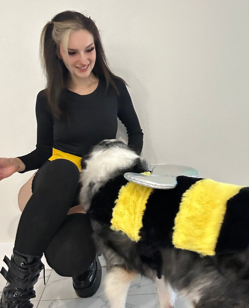 busy-b-asmr gallery photo #614