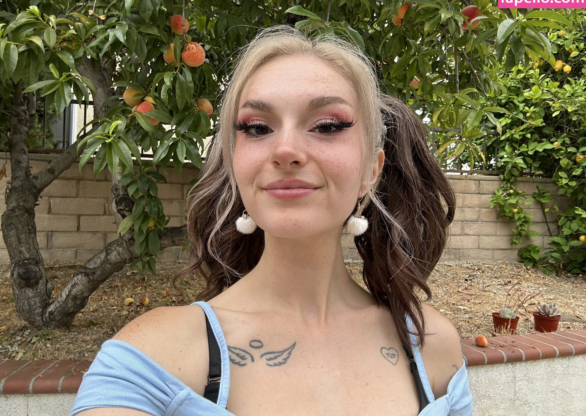 busy-b-asmr gallery photo #752