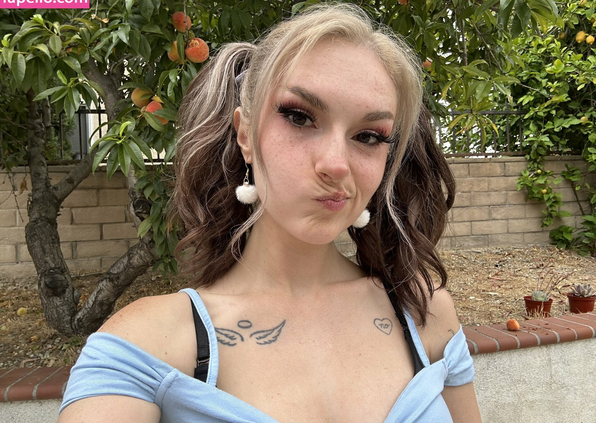 busy-b-asmr gallery photo #757