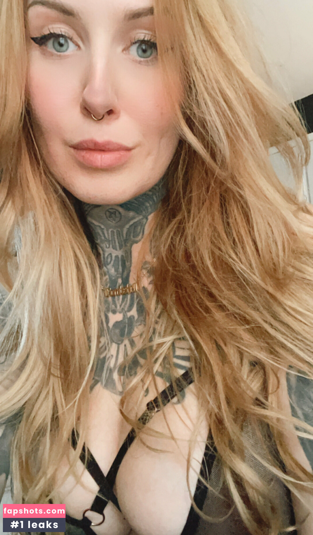 bxblackout gallery photo #12