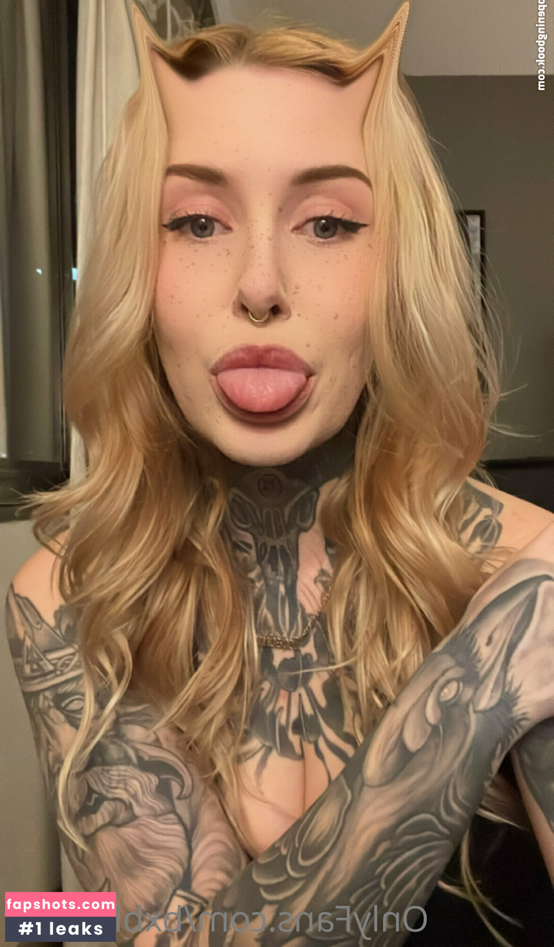 bxblackout gallery photo #18