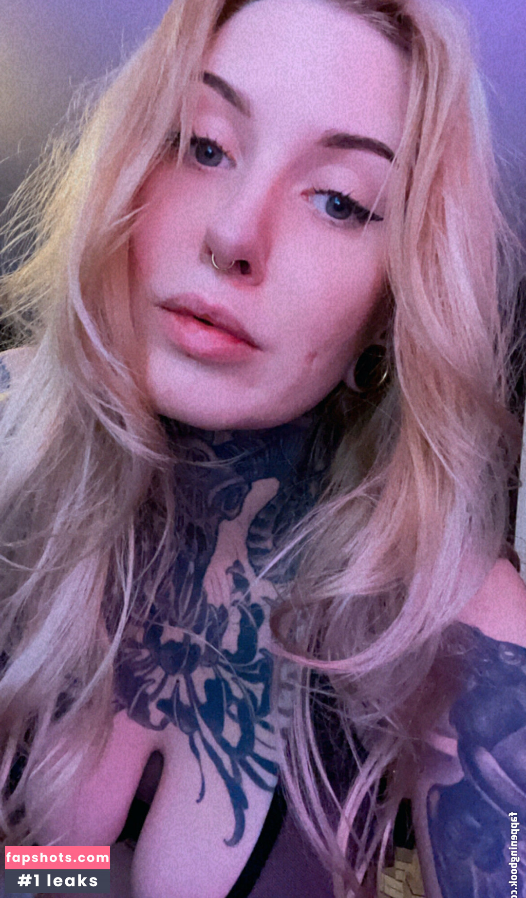 bxblackout gallery photo #7