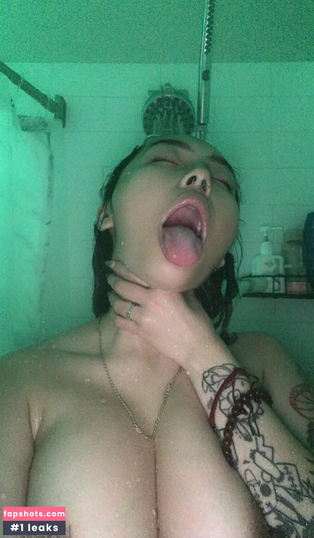 Bxetao gallery photo #10