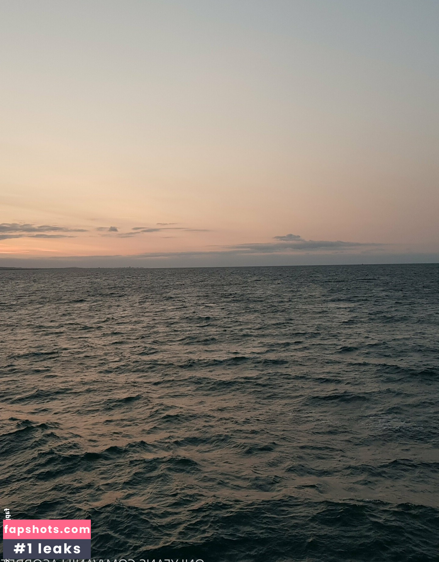 callierose gallery photo #97