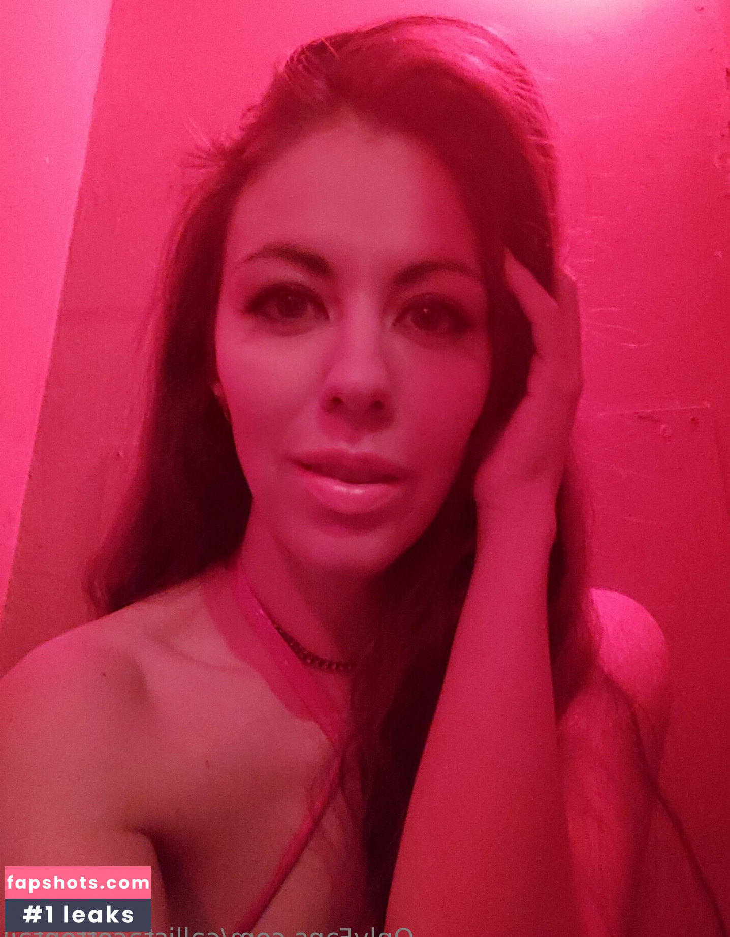 callistacottontail gallery photo #7