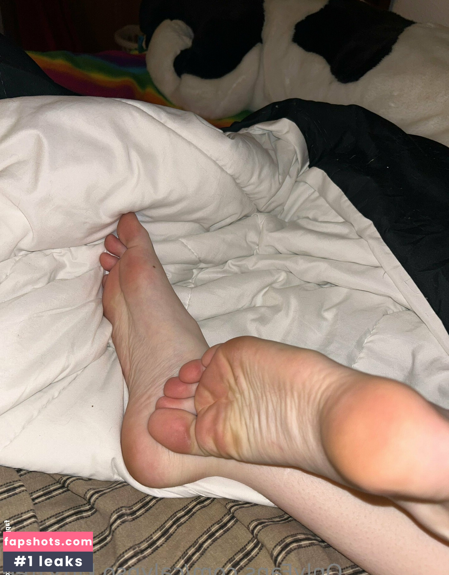 calypsokittyfree gallery photo #35