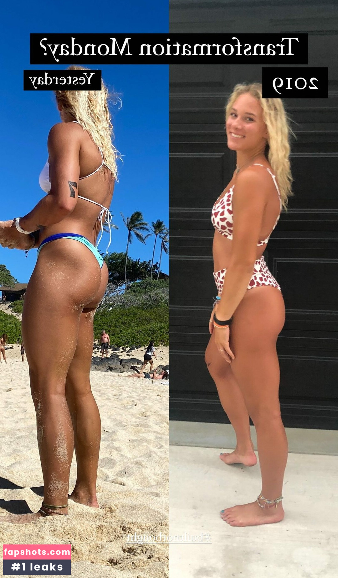 Calyx Harmony gallery photo #19