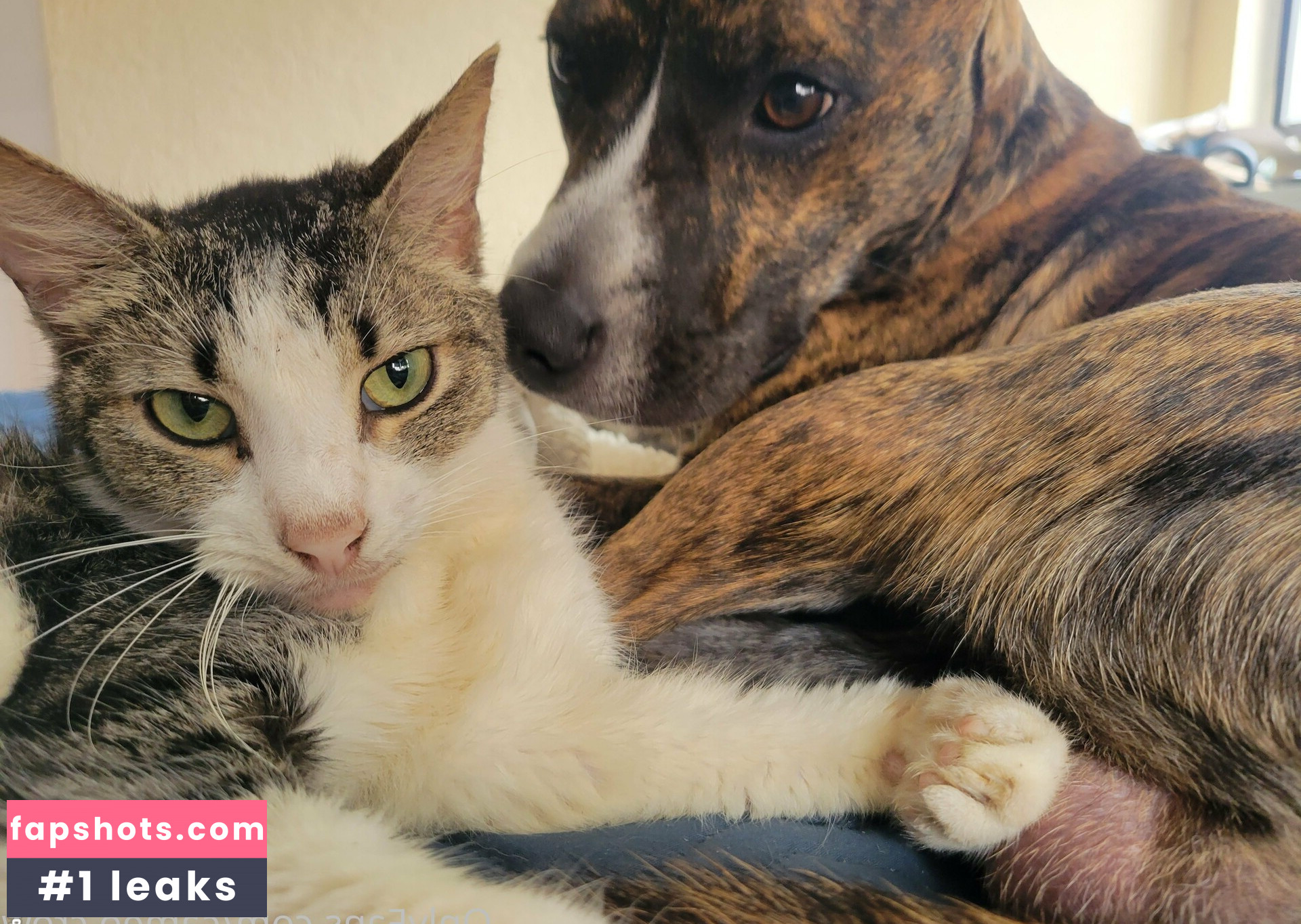 cameo.crow gallery photo #4