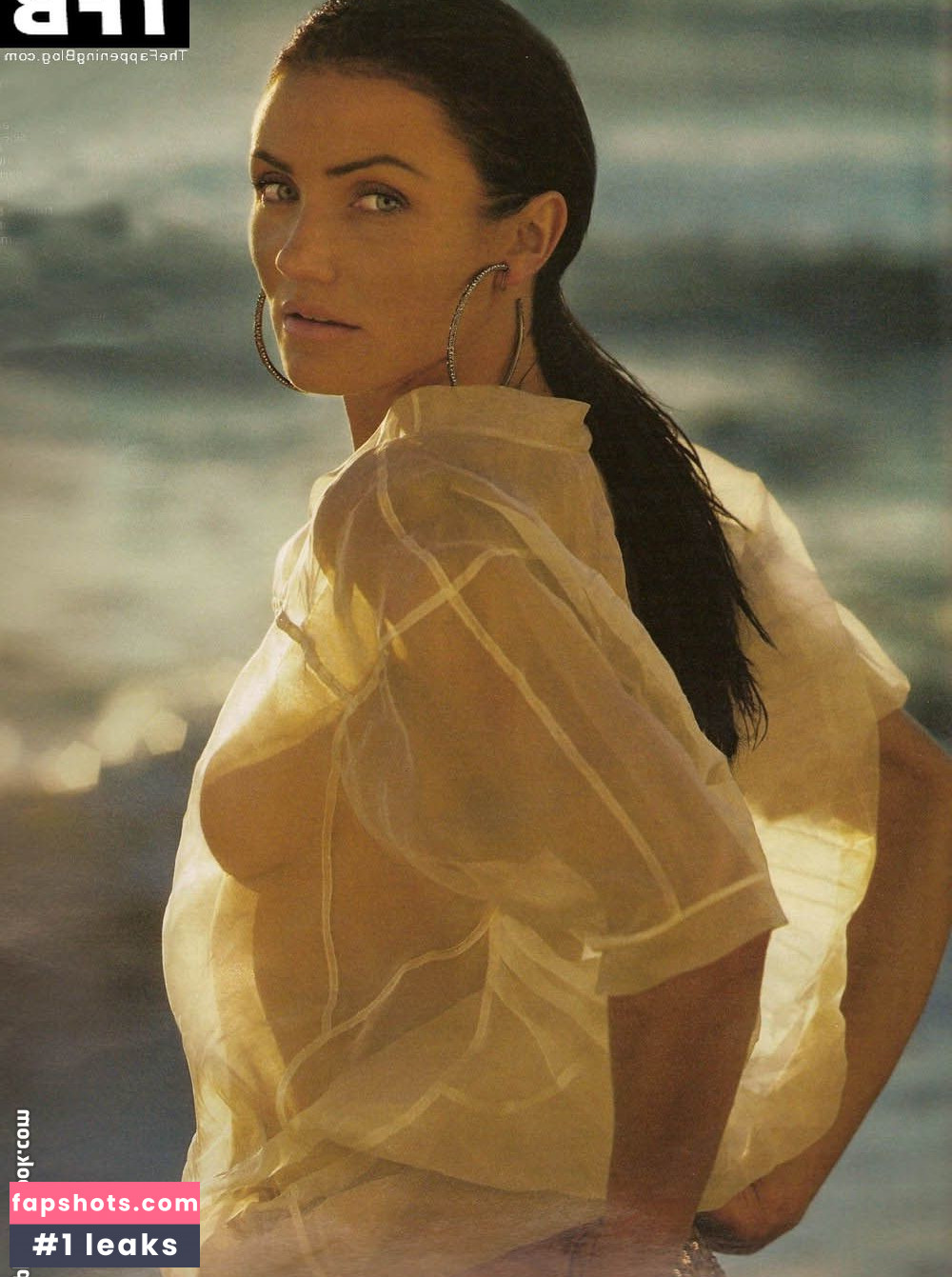 Cameron Diaz Nahé úniky fotek pouze od fanoušků #169 - Fapshots