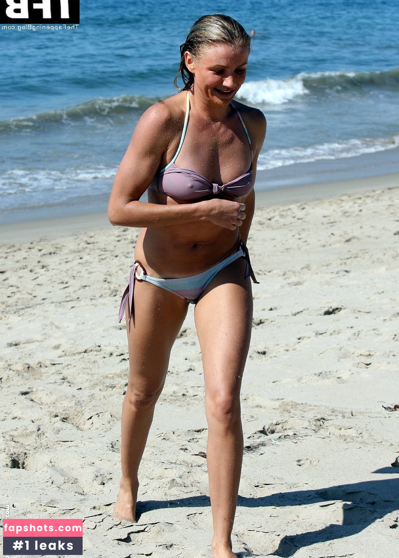 Cameron Diaz Nahé úniky fotek pouze od fanoušků #211 - Fapshots