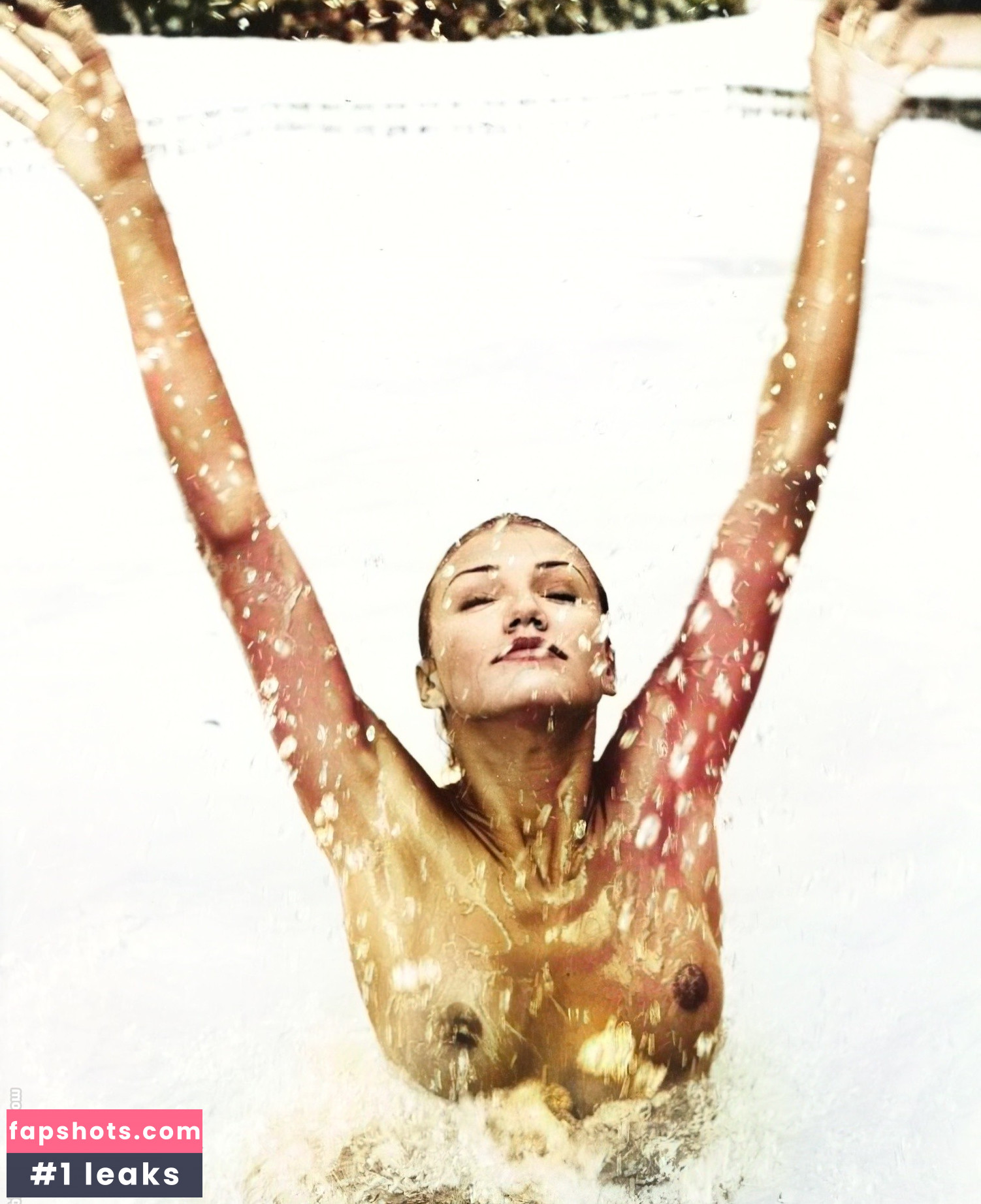 Cameron Diaz Nahé úniky fotek pouze od fanoušků #261 - Fapshots