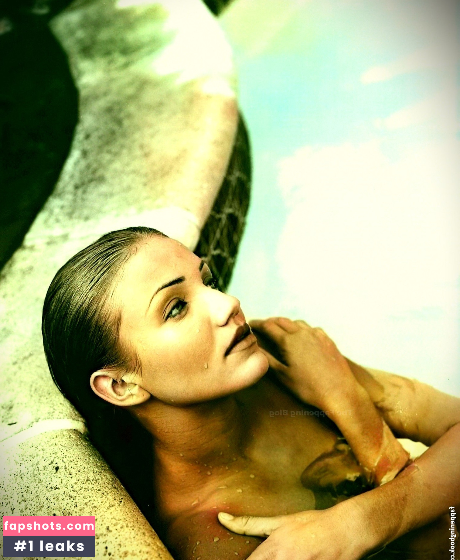 Cameron Diaz Nahé úniky fotek pouze od fanoušků #271 - Fapshots