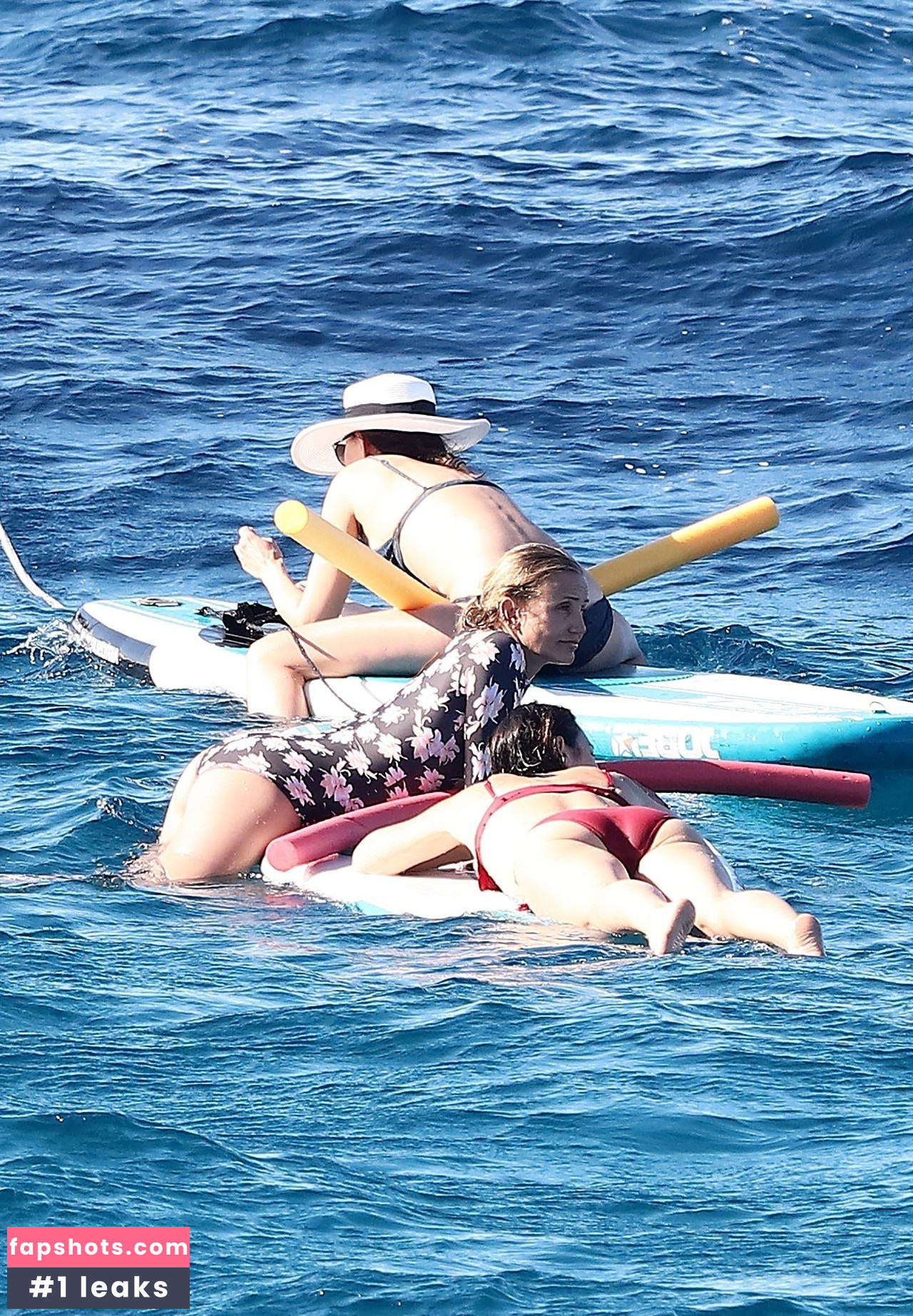 Cameron Diaz Nahé úniky fotek pouze od fanoušků #284 - Fapshots