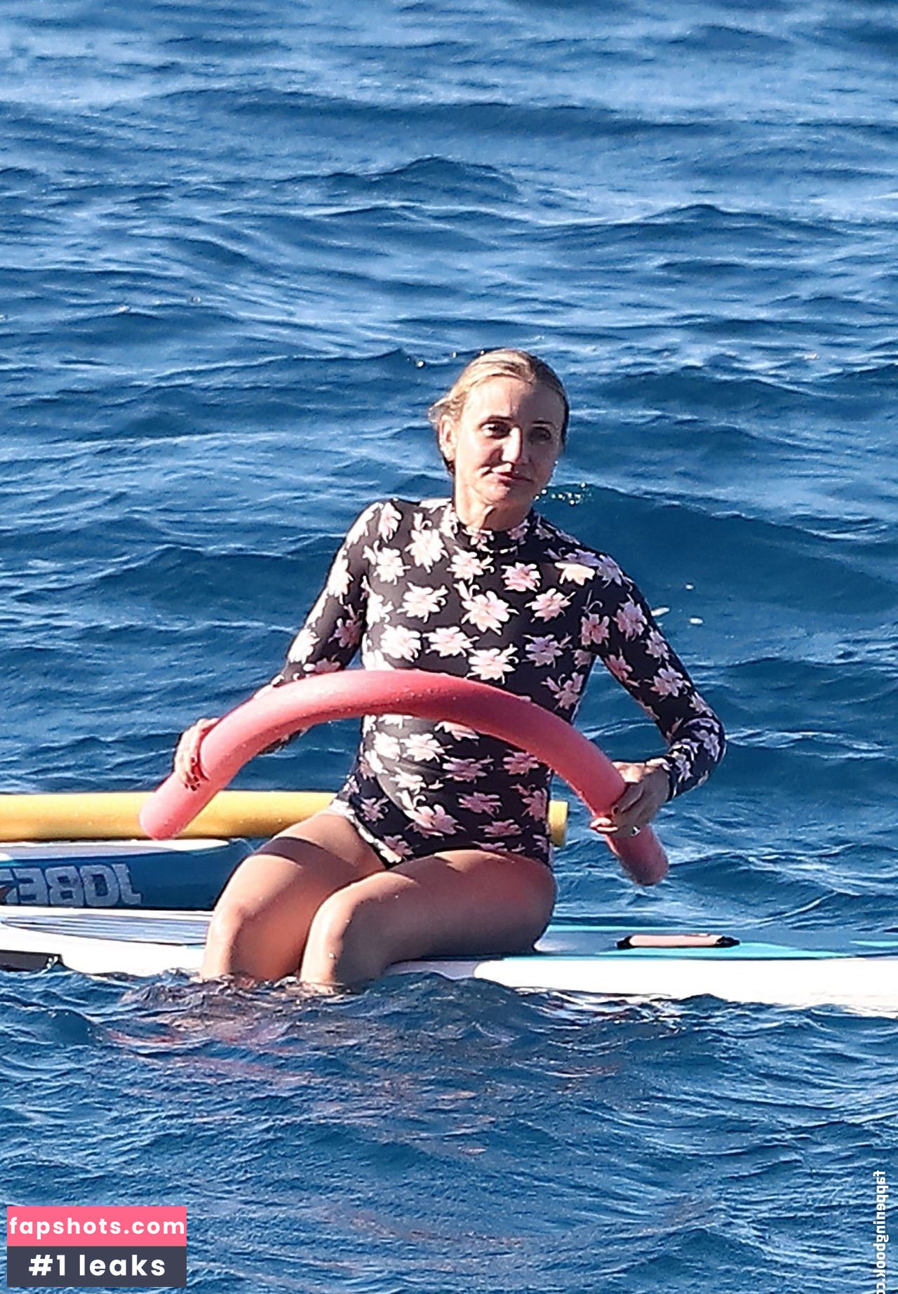 Cameron Diaz Nahé úniky fotek pouze od fanoušků #287 - Fapshots