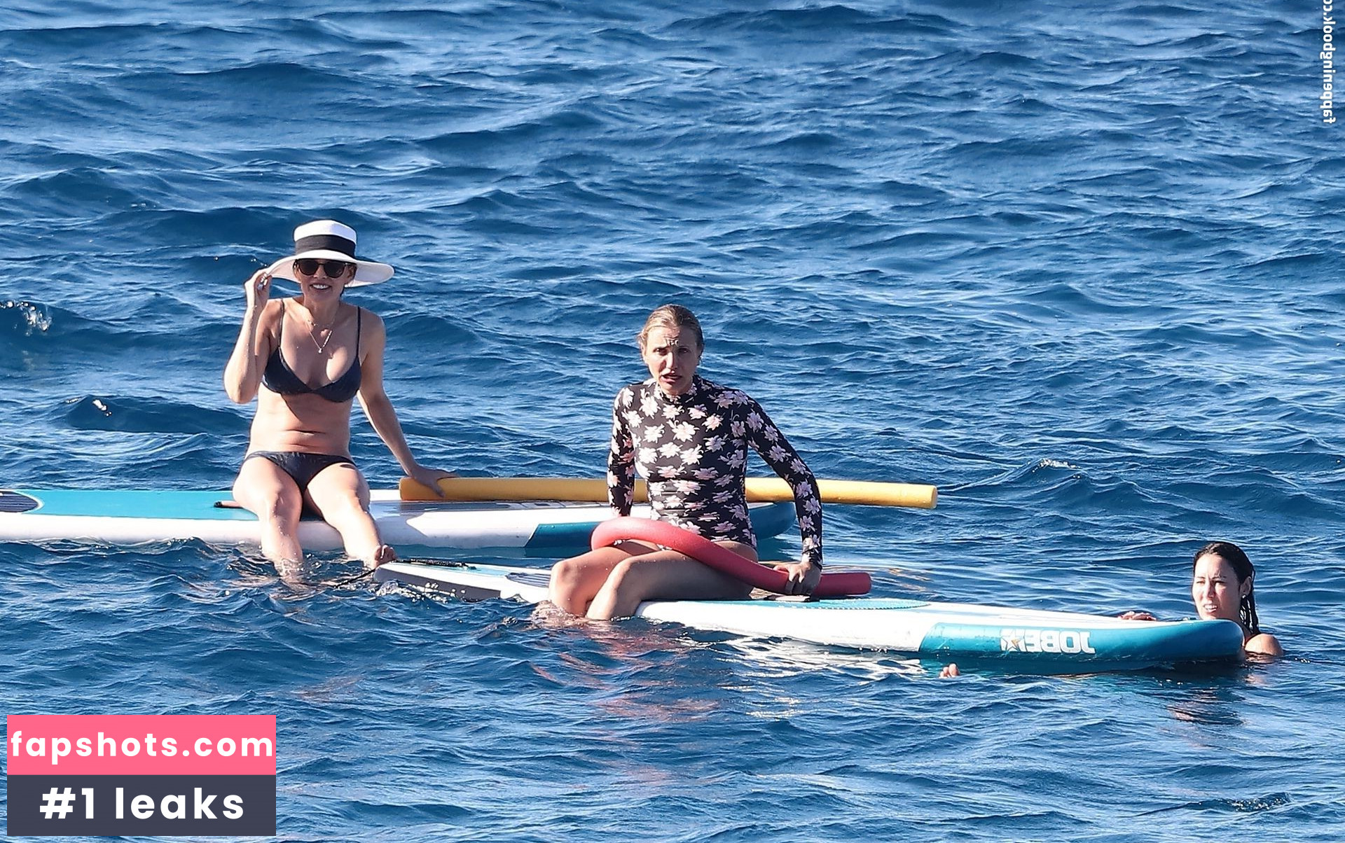 Cameron Diaz Nahé úniky fotek pouze od fanoušků #288 - Fapshots