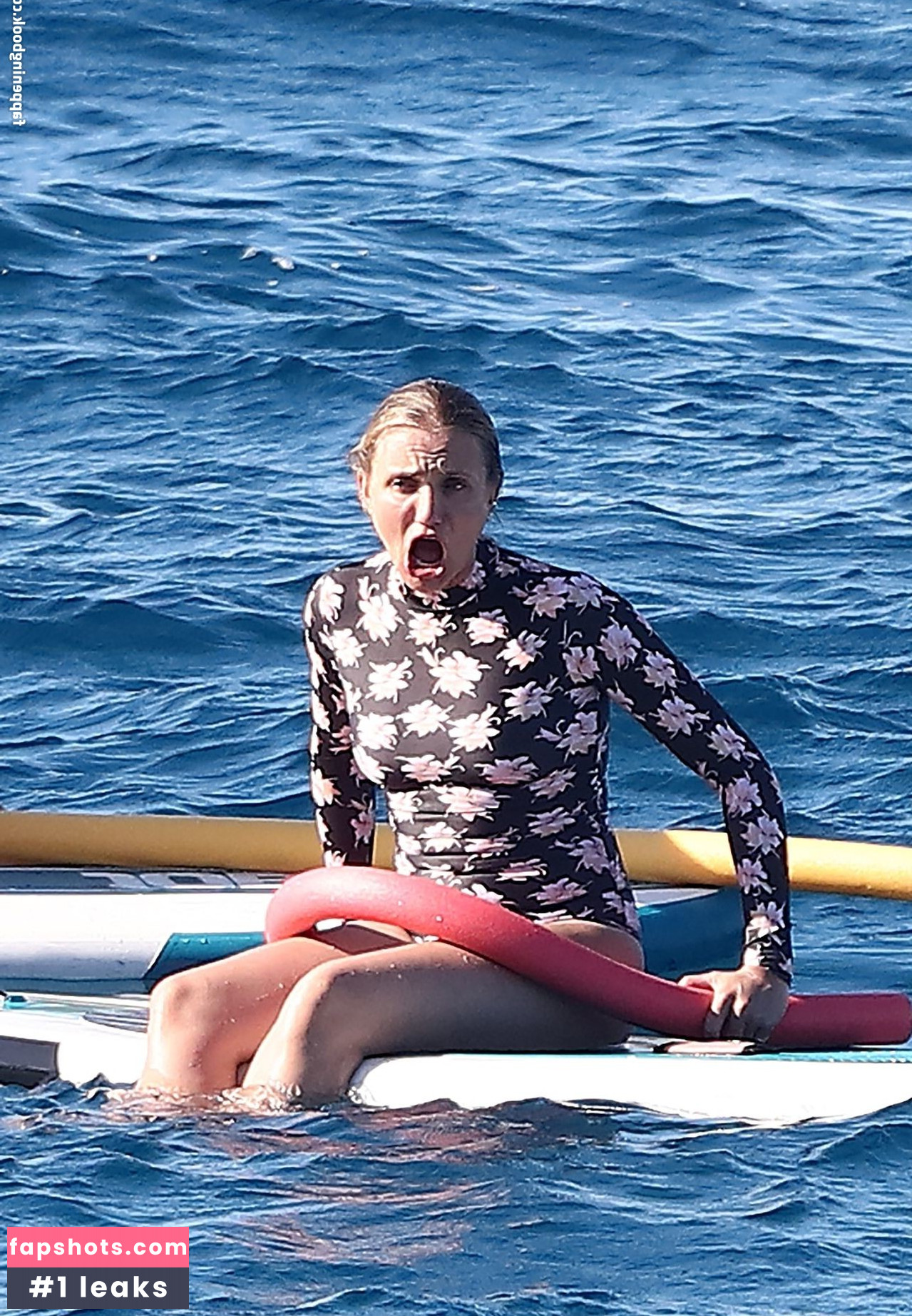 Cameron Diaz Nahé úniky fotek pouze od fanoušků #289 - Fapshots