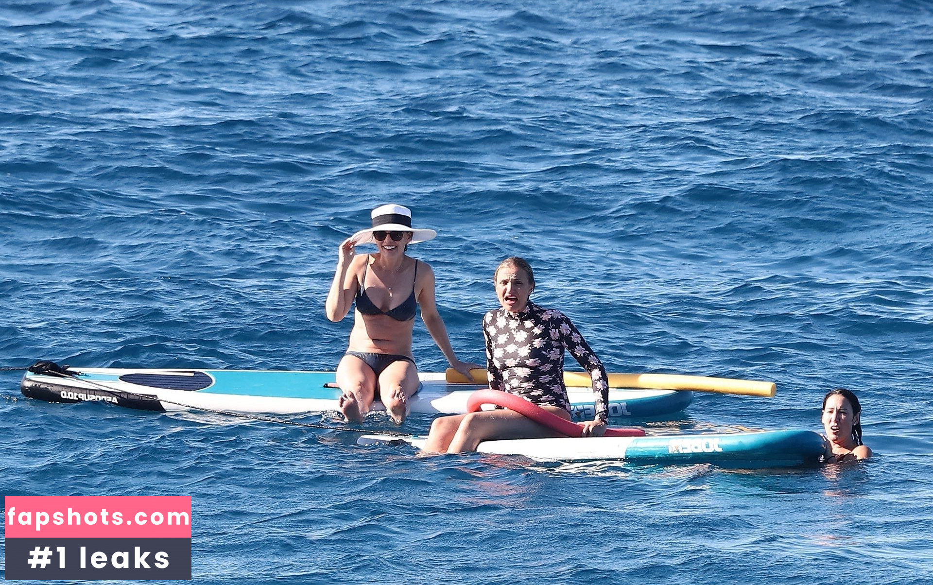 Cameron Diaz Nahé úniky fotek pouze od fanoušků #290 - Fapshots