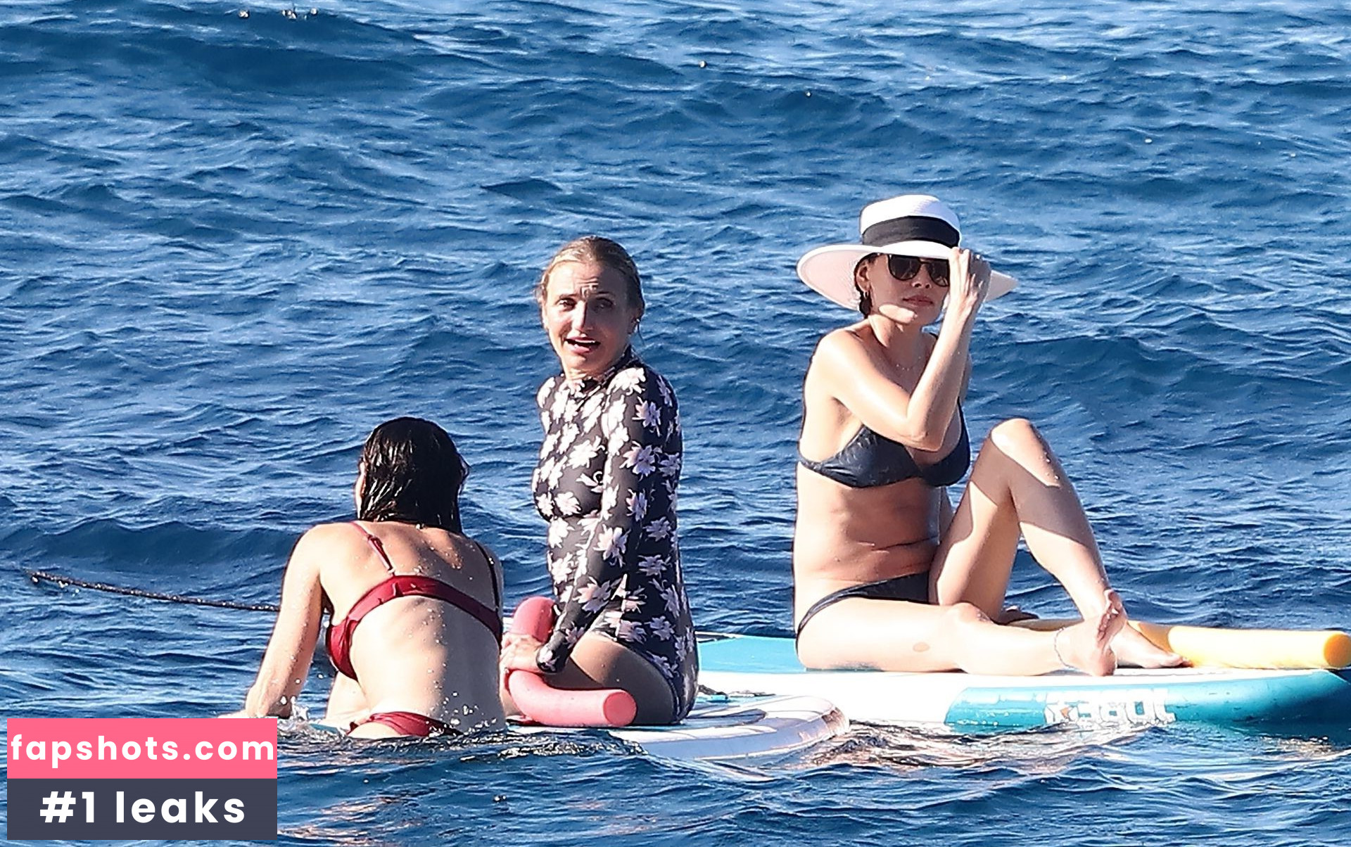 Cameron Diaz Nahé úniky fotek pouze od fanoušků #291 - Fapshots