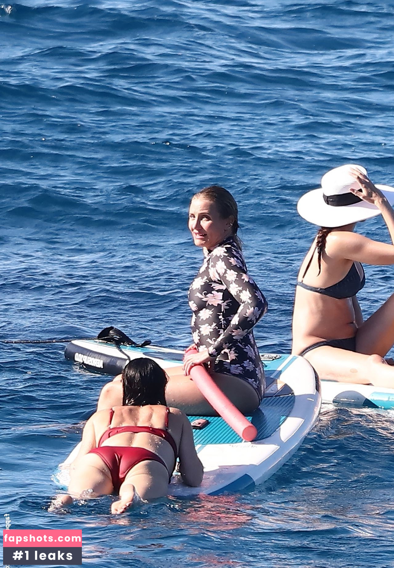 Cameron Diaz Nahé úniky fotek pouze od fanoušků #292 - Fapshots