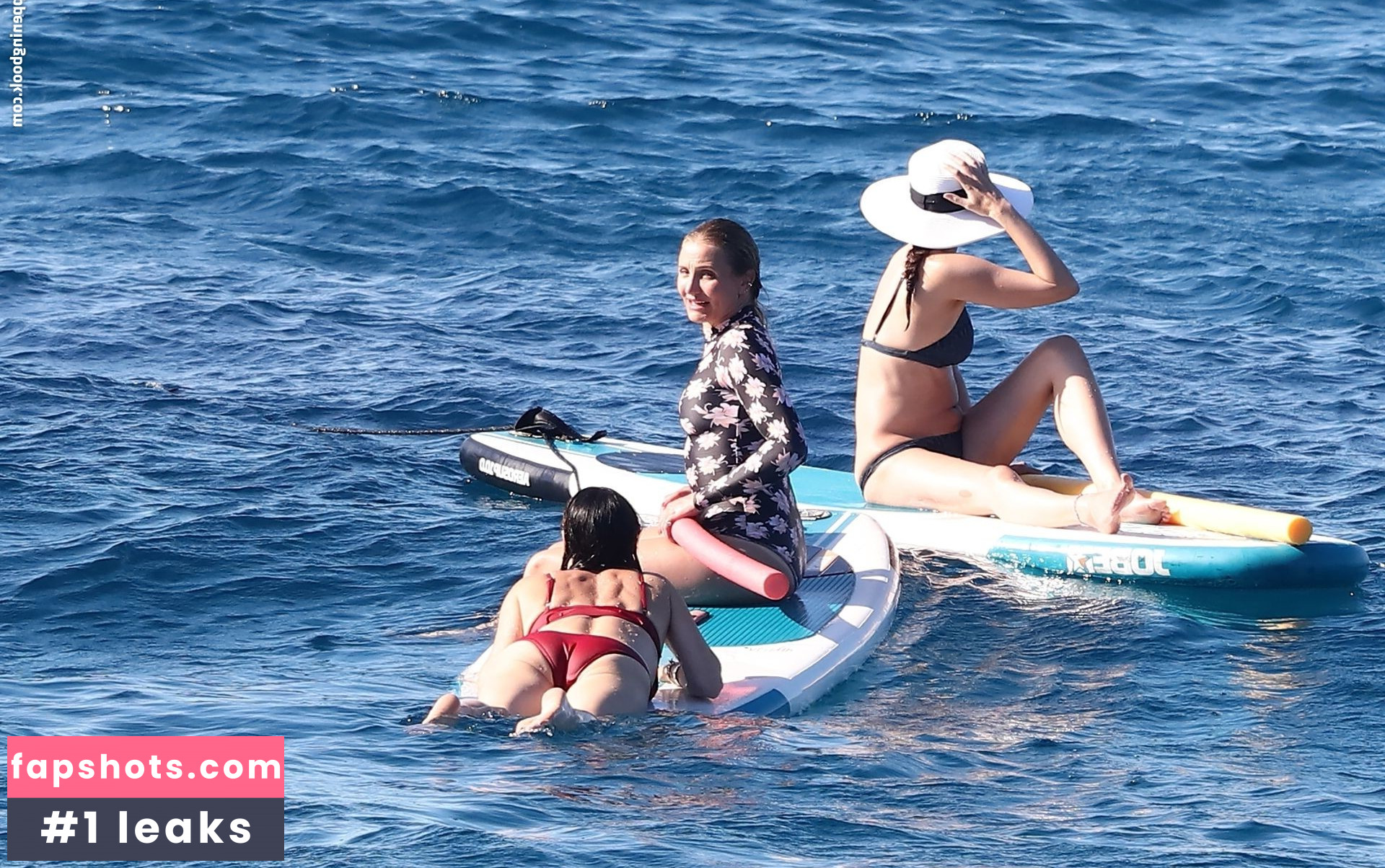 Cameron Diaz Nahé úniky fotek pouze od fanoušků #293 - Fapshots