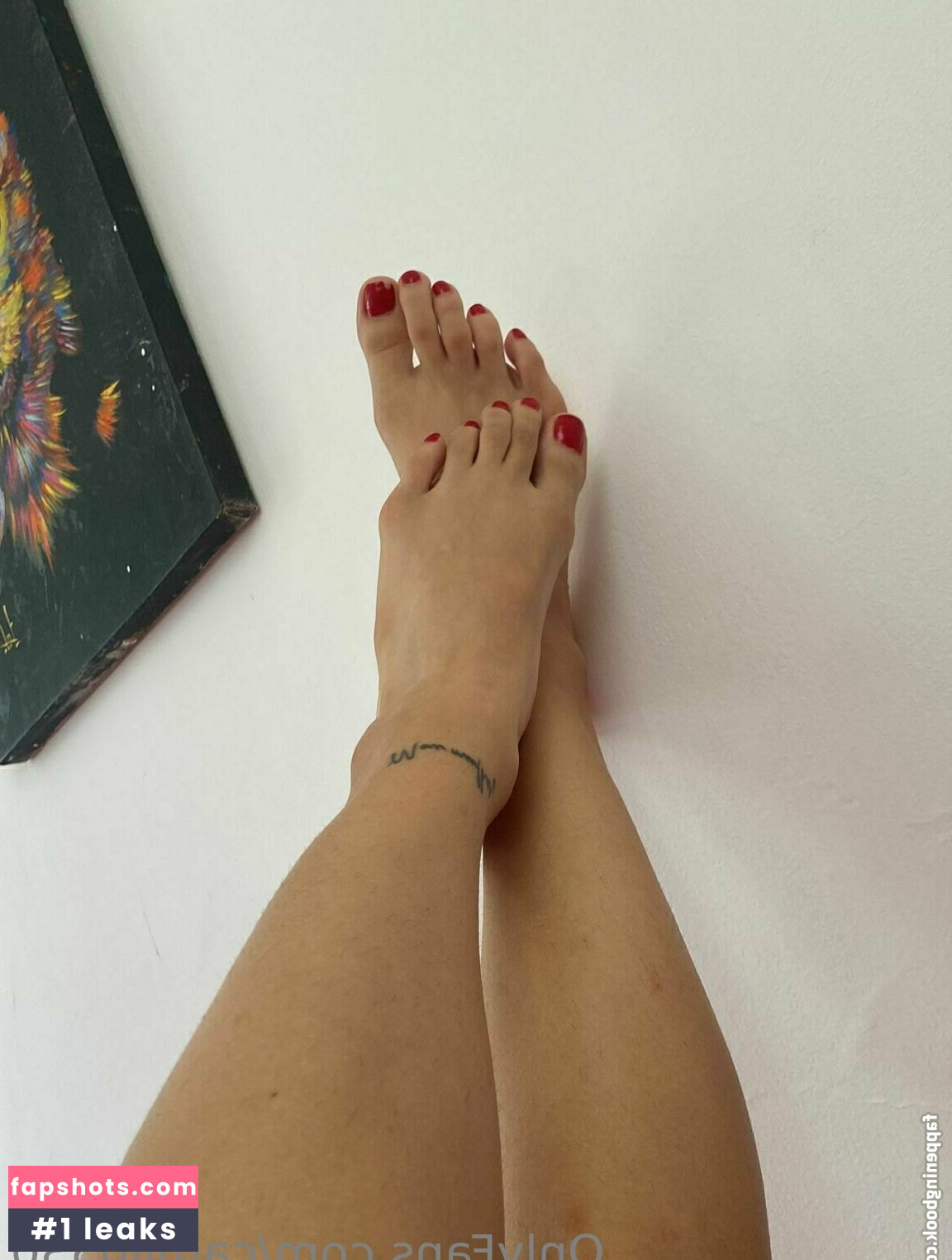 camil0530 gallery photo #16